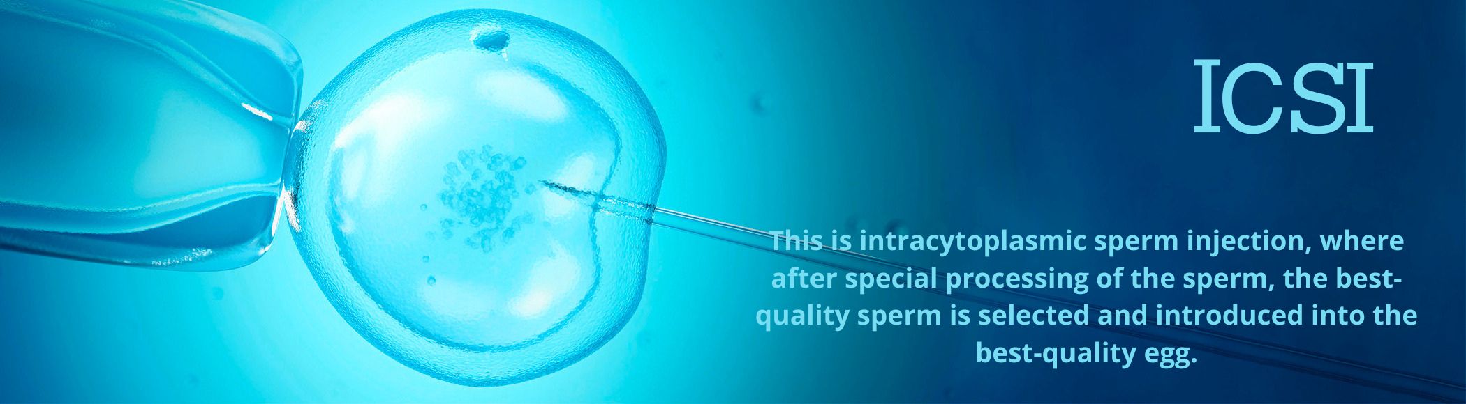 IVF Process